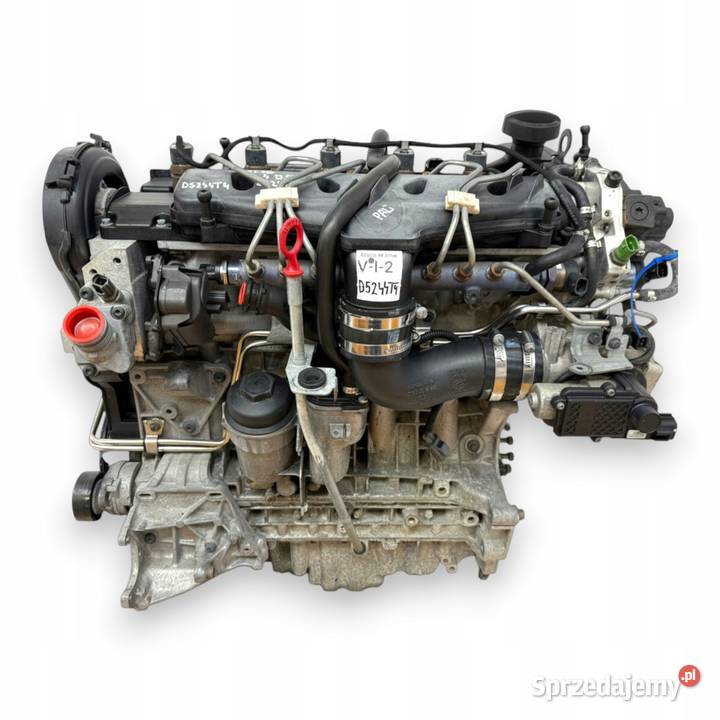 SILNIK D5244T4 Volvo S80 II V70 III XC60 XC70 24 osobowe Chełm