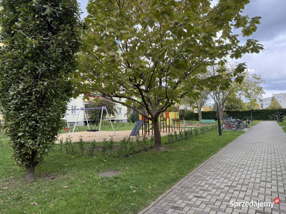 Sprzedam mieszkanie w Puławach parku Liczba pokoi 4 lubelskie Puławy