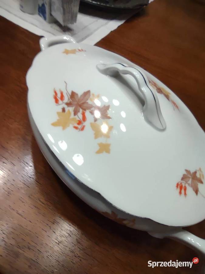 Stara Porcelana Teryna Waza Porcelana i szkło Gniezno