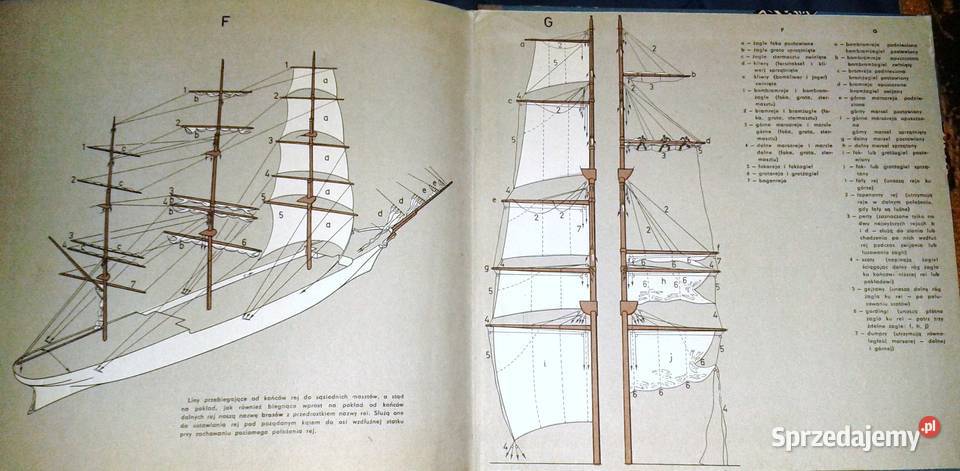 Biała fregata Kronika Daru Pomorza 19291972 Pozostałe Chełm