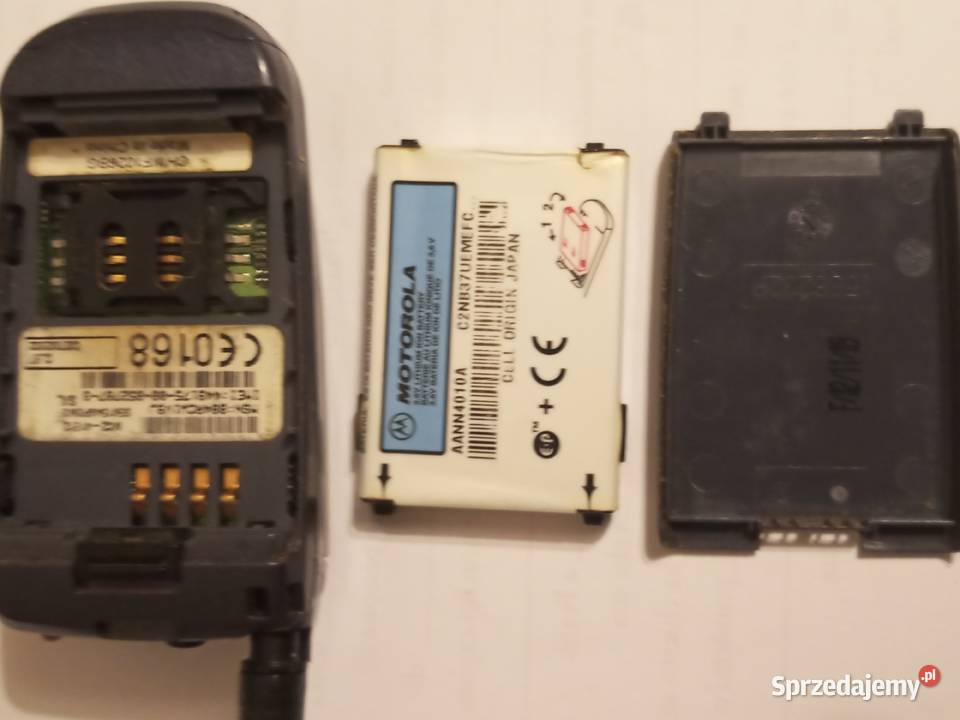 MOTOROLA V51 KOLEKCJONERA Szczecinek sprzedam