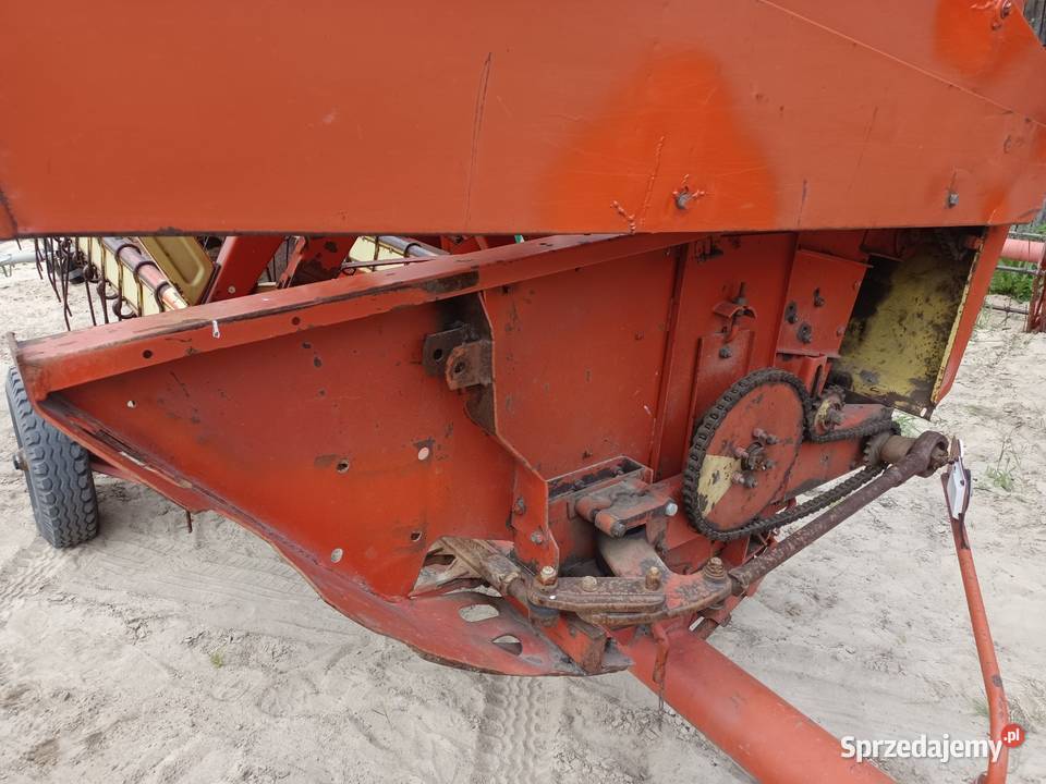Bizon Super Z 056 mazowieckie sprzedam