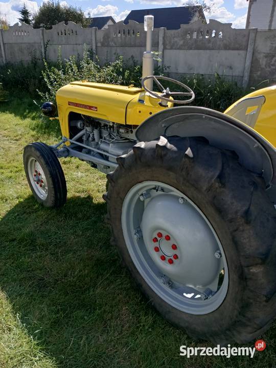 Massey Ferguson 35 benzyna Koszalin