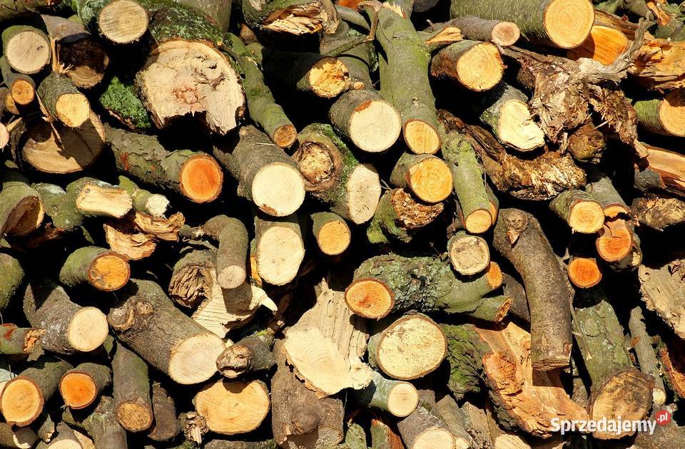 Sprzedam drewno liściaste Różne gatunki Opał mazowieckie Piaseczno
