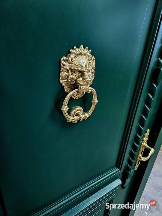 Drzwi DŁUGOSZ zewnętrzne RAL6005 zieleń mchu Oleśnica