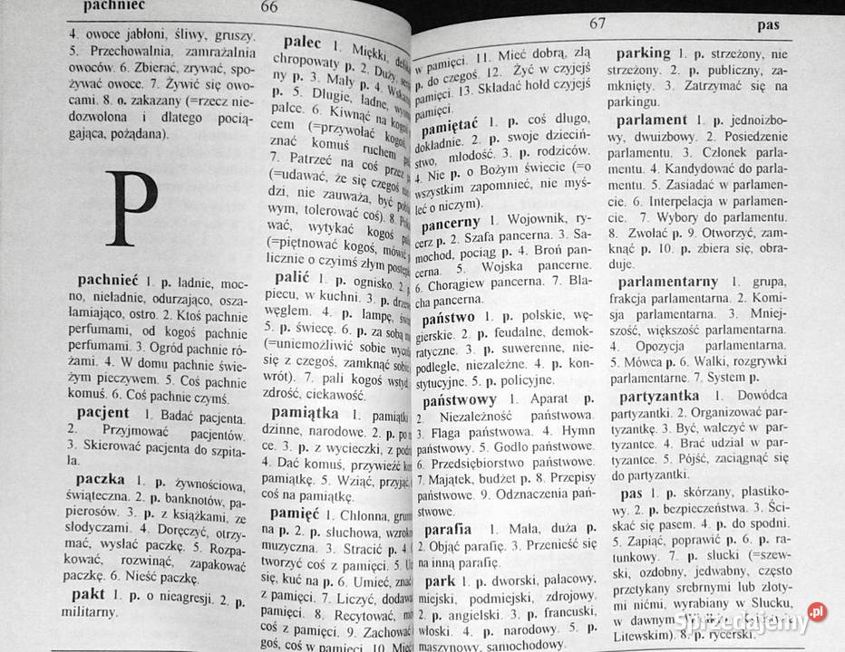 Słownik frazeologiczny szkoły podstawowej Chełm