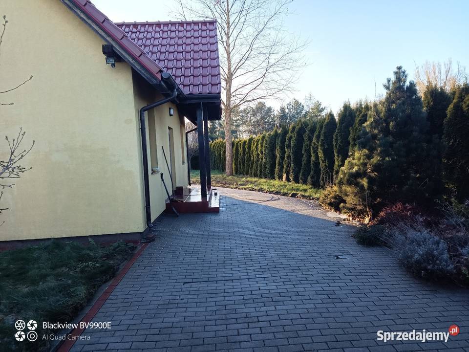 Mycie i malowanie elewacji budynków dachów Trzcianka