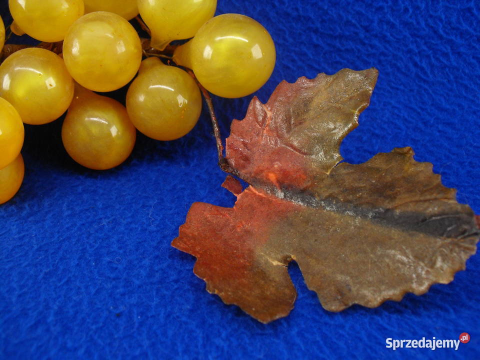 Winogrona dekoracyjne Bielawa