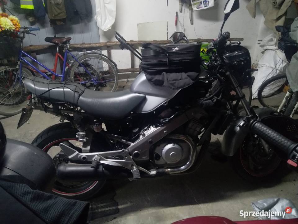 Honda developer 650 Łuków