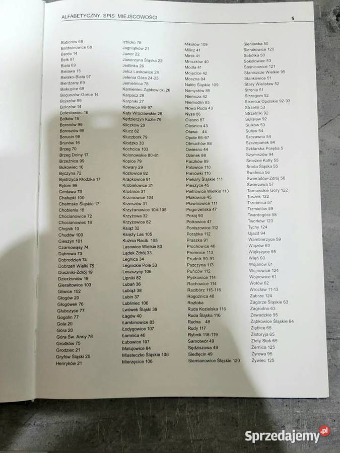 Album Śląsk Schlesien architektura śląsk Rydułtowy