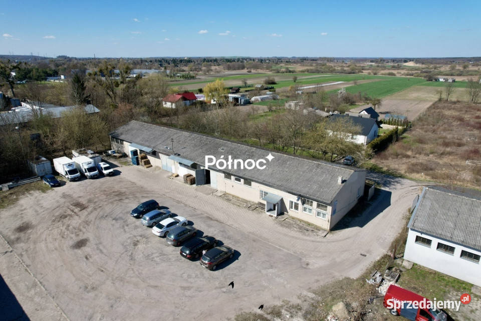 Magazyn z mroźnią i chłodnią zaplecze socjalne Sprzedaż Chełm