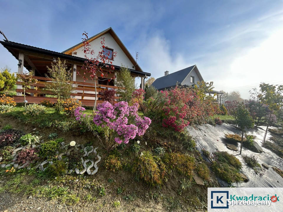 Lokal 330m2 Brzegi Dolne 5148zł/m2 podkarpackie