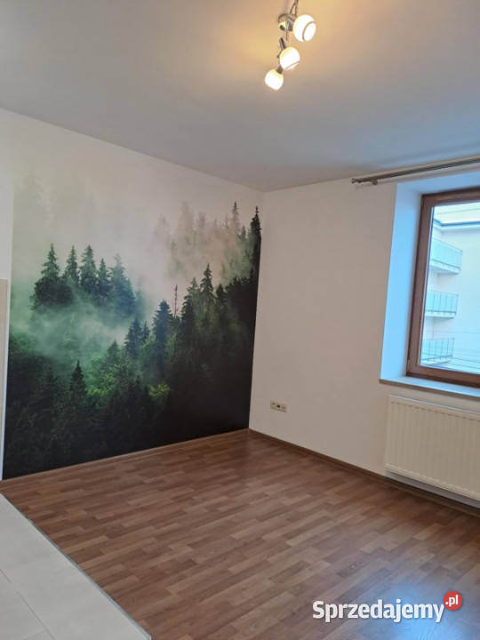 Wynajmę dwupokojowe mieszkanie KrakówZabłocie Kraków sprzedam