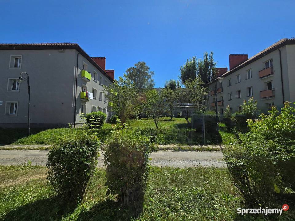 Mieszkanie na wynajem Mikołów 357 m