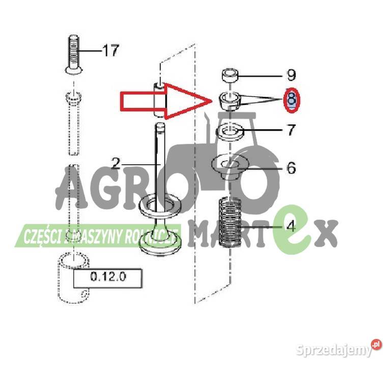 500309487 75226017 4854550 PRZETYCZKA WAHACZA Wichrów