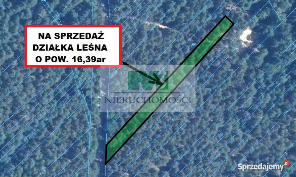 DO SPRZEDAŻY DZIAŁKA LEŚNA W JELNEJ Jelna