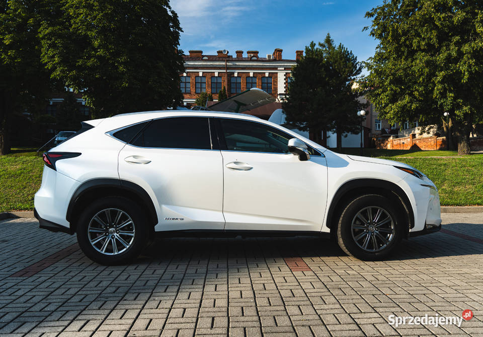 Lexus NX 300H AWDSalon Polska Pierwszy Chełm