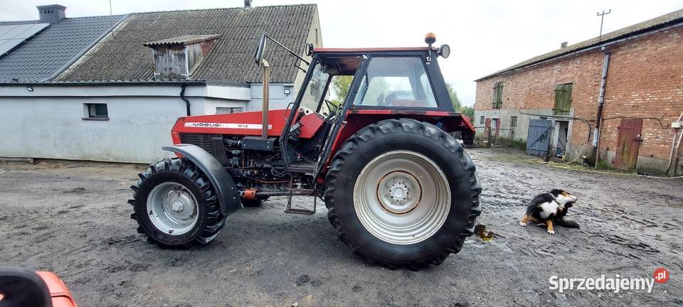Ursus 1614 Rukosin sprzedam
