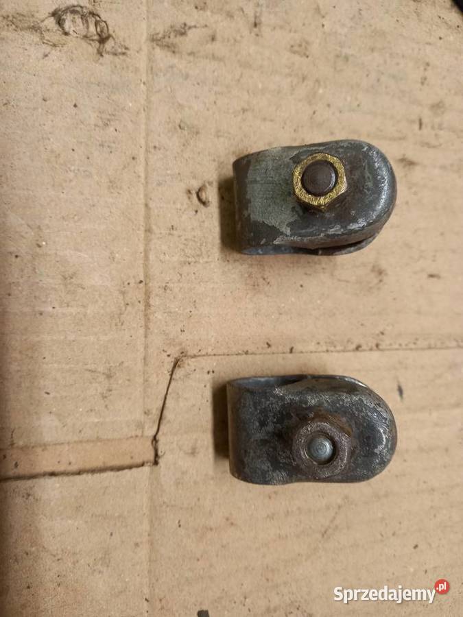 Cybanty zak ryś sprzedam