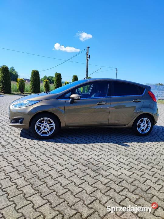 Ford fiesta 1000cm3 Fiesta Panki