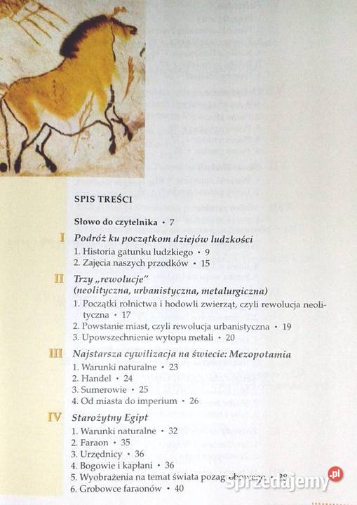 Historia 1 Starożytność cz1 Ewa Wipszycka miękka Pozostałe Chełm sprzedam