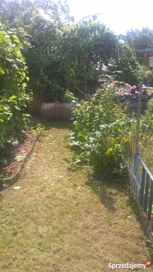 Pod lasem działka Wrocław sprzedam