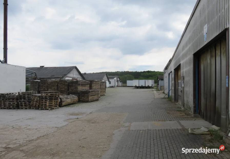 Syndyk sprzeda budynki urządzenia prawo Gubin sprzedam