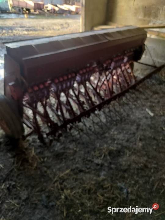 Siewnik poznak Miłochniewice