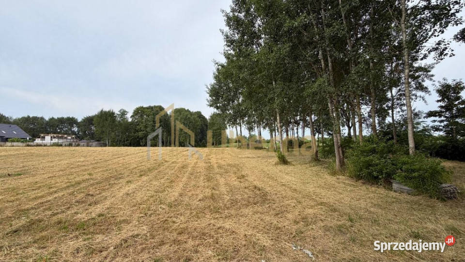 Wyjątkowa działka z wydanymi WZ