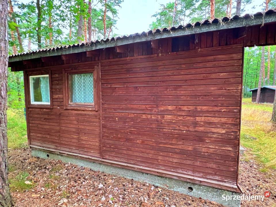 Mobilne Domki Drewniane 31m2 Wyprzedaż Brok
