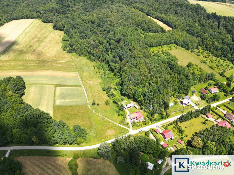 sprzedaży działki 4527m2 Lalin budowlana