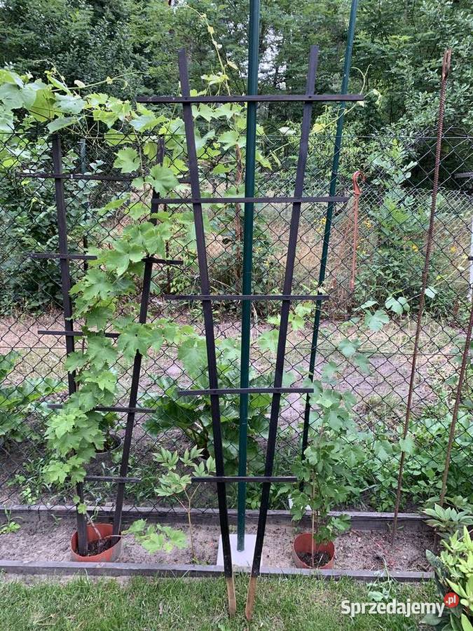 Drabinka drewniana na winorośl 180 40 podkarpackie Stalowa Wola