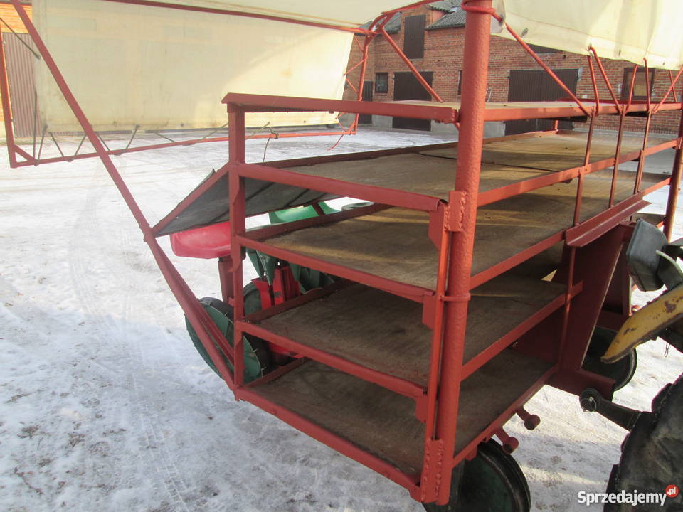 Sadzarka do warzyw karuzelowa 2 rzędowa ŁUCZAK mazowieckie Sochaczew