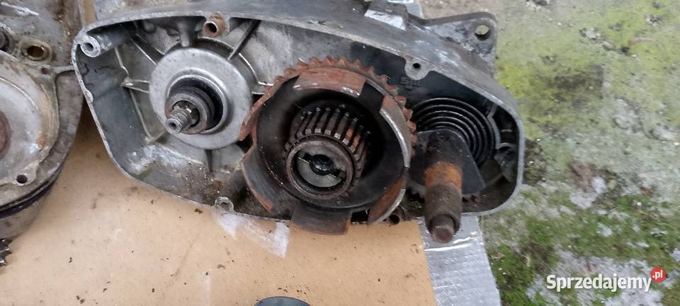 wsk 175 silnik kartery wielkopolskie Międzychód