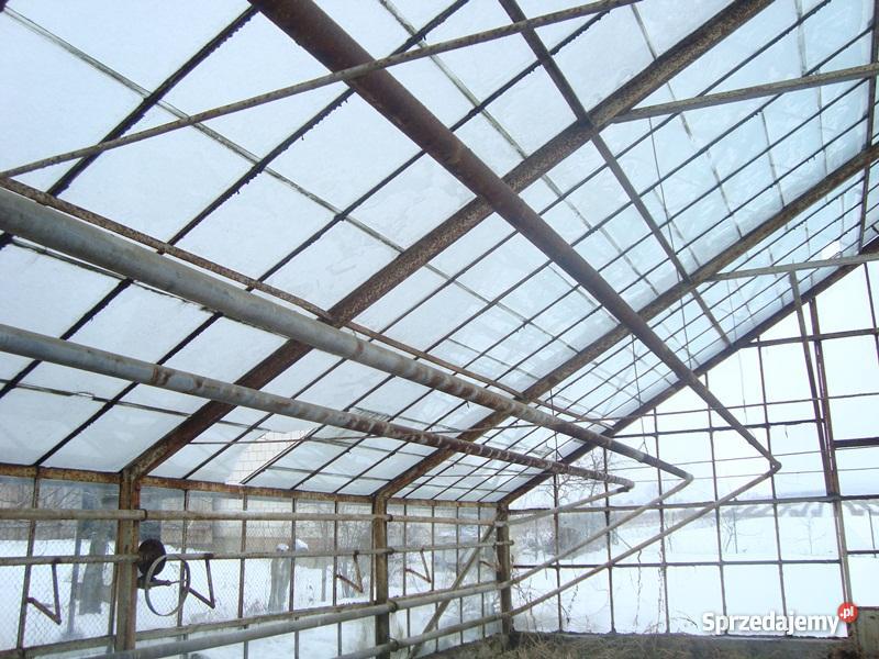 szklarnię do rozbiórki Wierzbica-Kolonia sprzedam