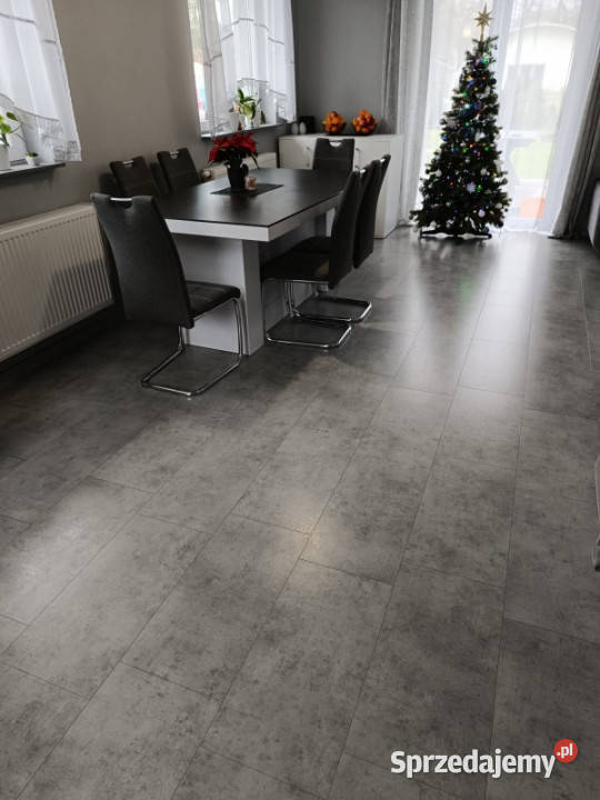 Dom wolnostojący 3 granicy Wrocławia 1015minut