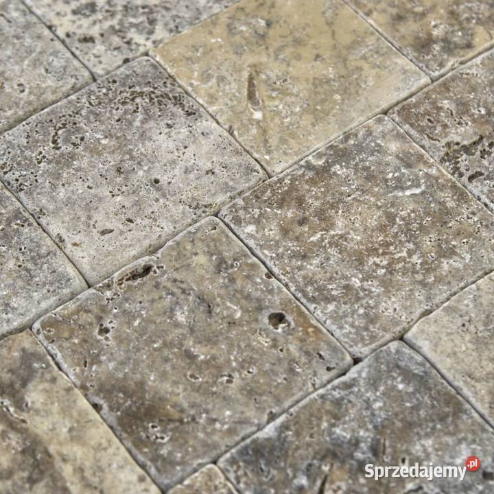Płytki Trawertyn Silver Ash bębnowany 10x10x1 Gdynia