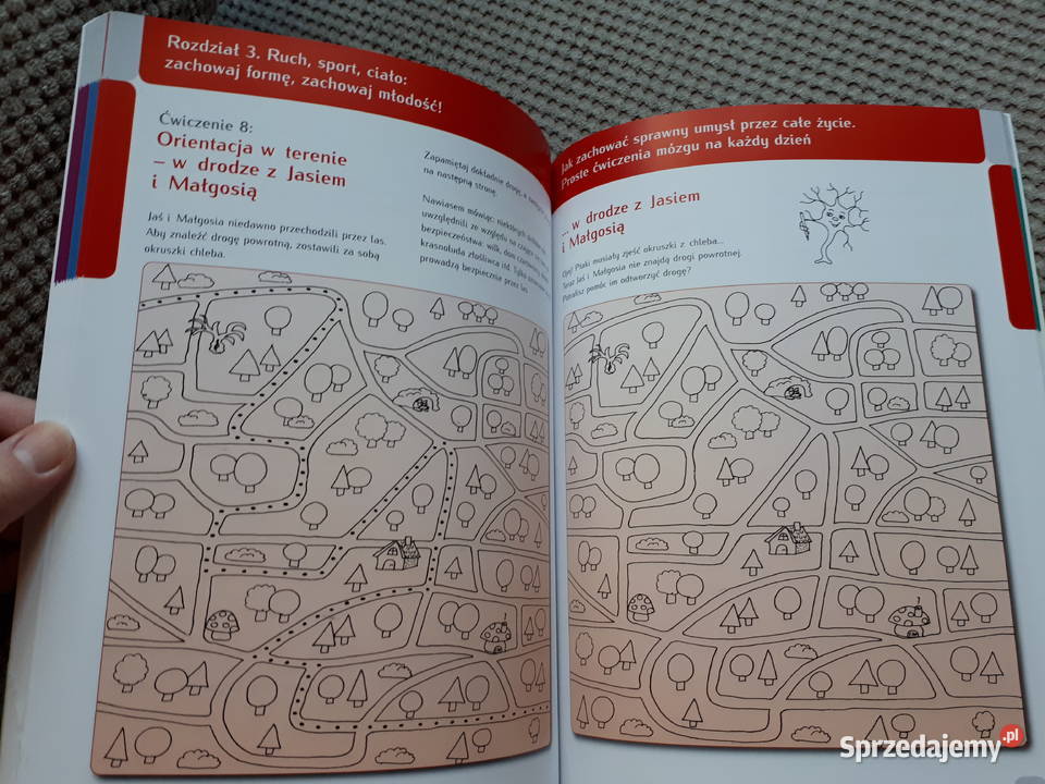 nowa zachować sprawny umysł całe życie miękka Kraków