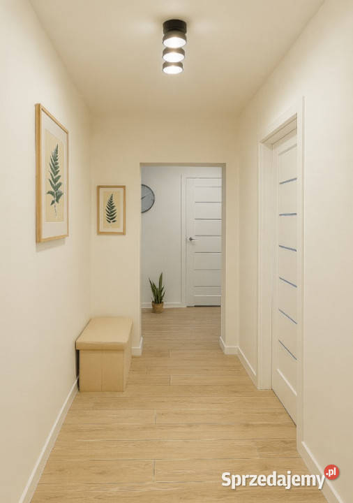 Klimatyczne Remoncie 46m2 Balkon Piwnica AGD Liczba pokoi 2 Sprzedaż Częstochowa