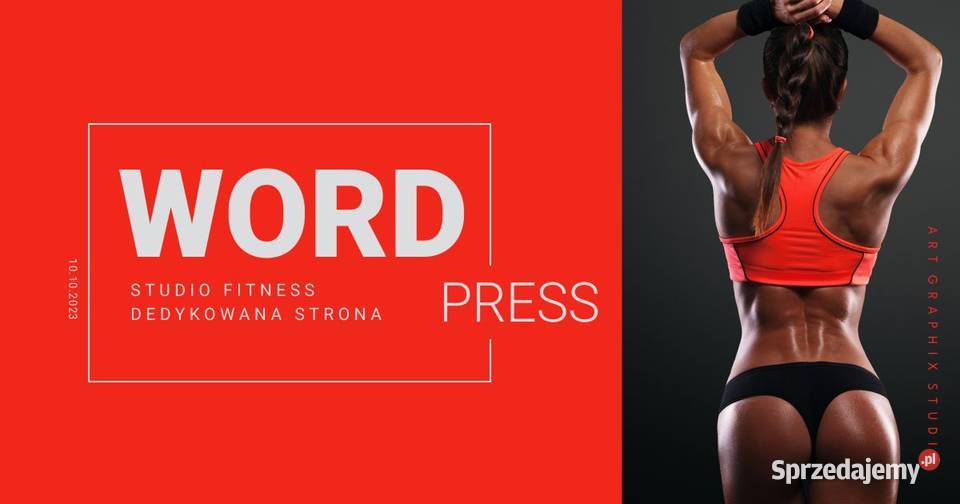 Tanie wysokiej jakości strony WordPress Sopot