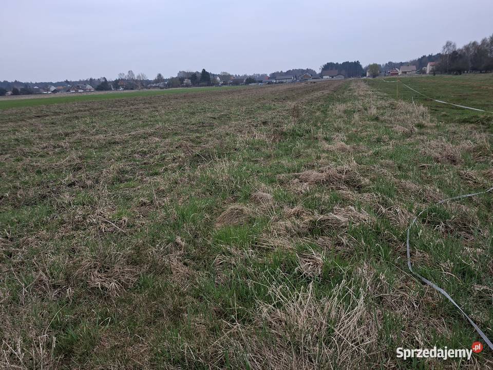 Działki budowlane Włoszczowa sprzedam