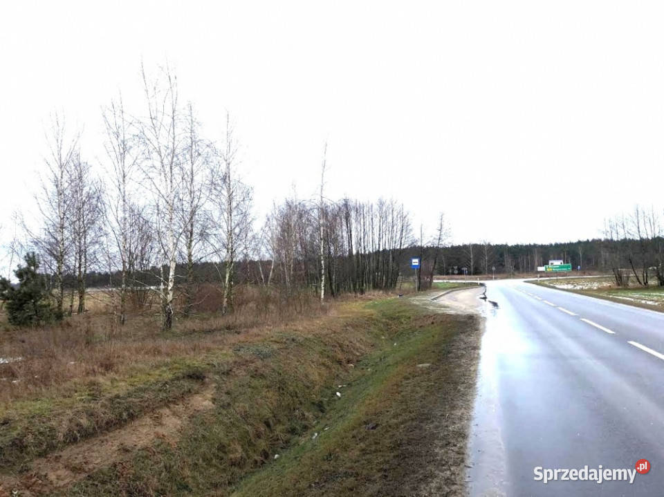 Na sprzedaż działka rolna 70 Warszawy Sprzedaż Boguszków