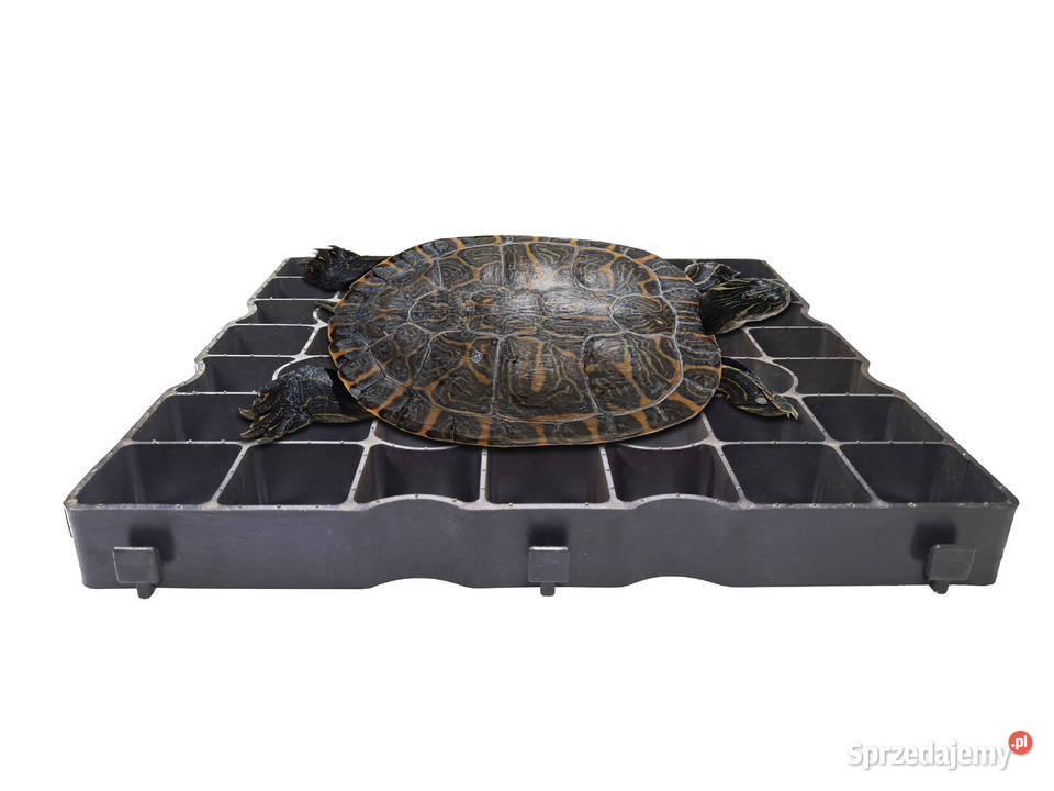 Kratka trawnikowa 5 50 x 50 czarna SUPER MOCNA Warszawa