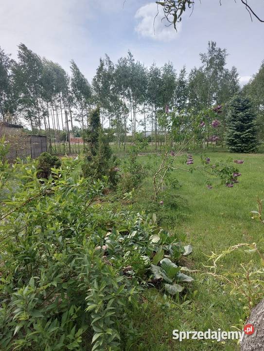 Sprzedam działkę budowlaną 26m łódzkie Zgierz