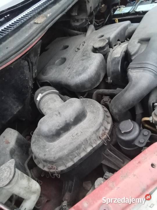 Hyundai H1 chłodnia izoterma Strzelin