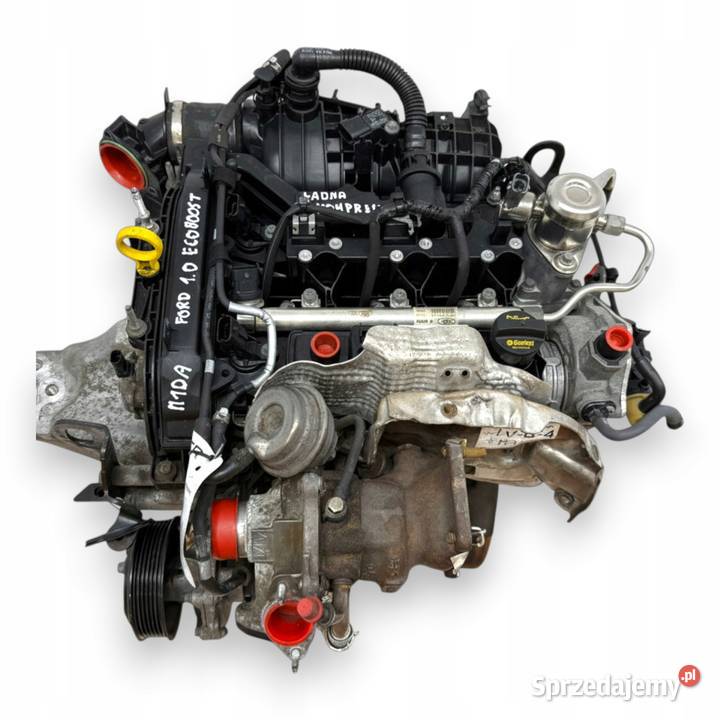 SILNIK M1DA Ford Focus III MK3 C C II 10 osobowe lubelskie Chełm
