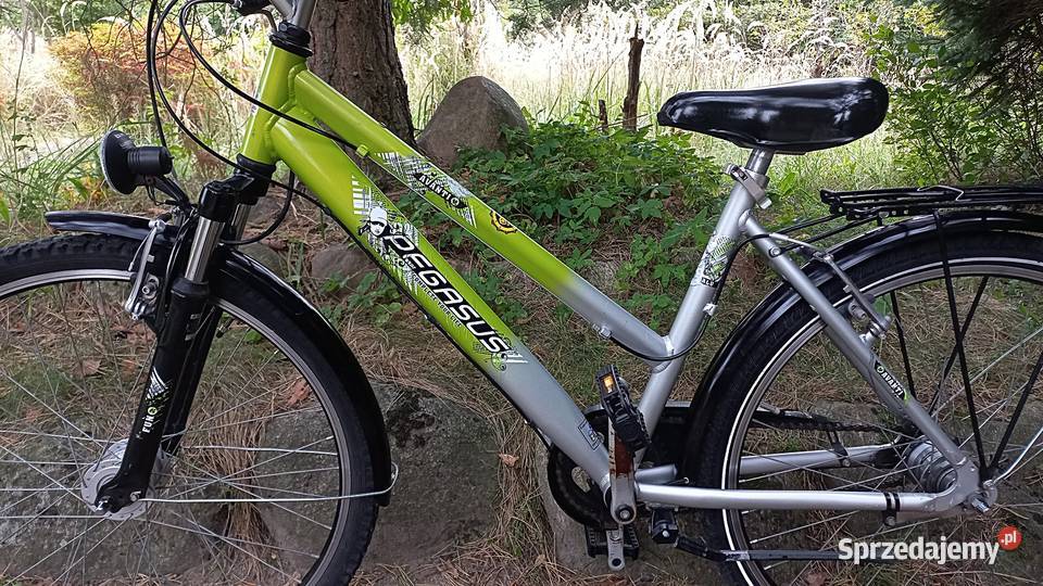 Alu Rower Miejski Młodzieżowy Pegasus Avanti Wołów