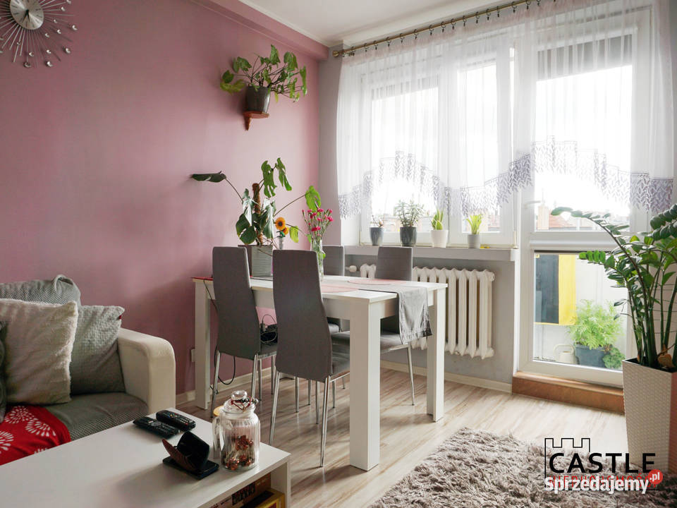 rynku i przedszkola I pierwsze M I samo centrum Malbork