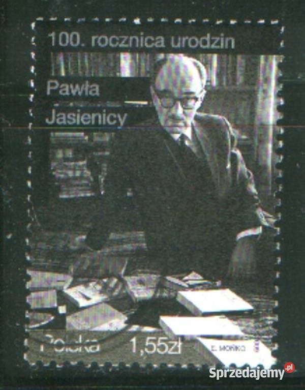 Zn Fi Wykaz zn w opisie kas 2009 śląskie