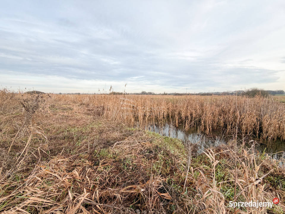 Działka rolna 084 ha Turka gmina Dorohusk 95m Nieruchomości sprzedam